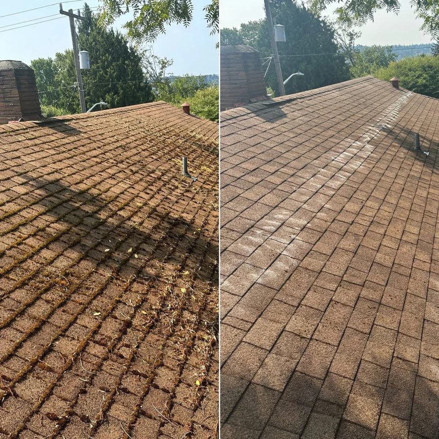 Before and after of a roof moss removal job on an asphalt shingle roof